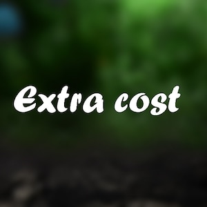 May include: White text on a blurred green background that reads "Extra cost".