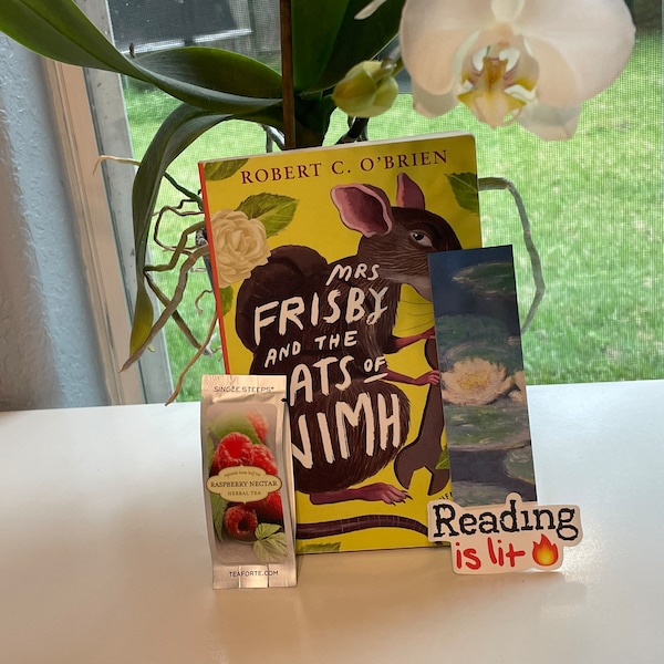 Kids Middle Grade Curated Book of the Month Subscription