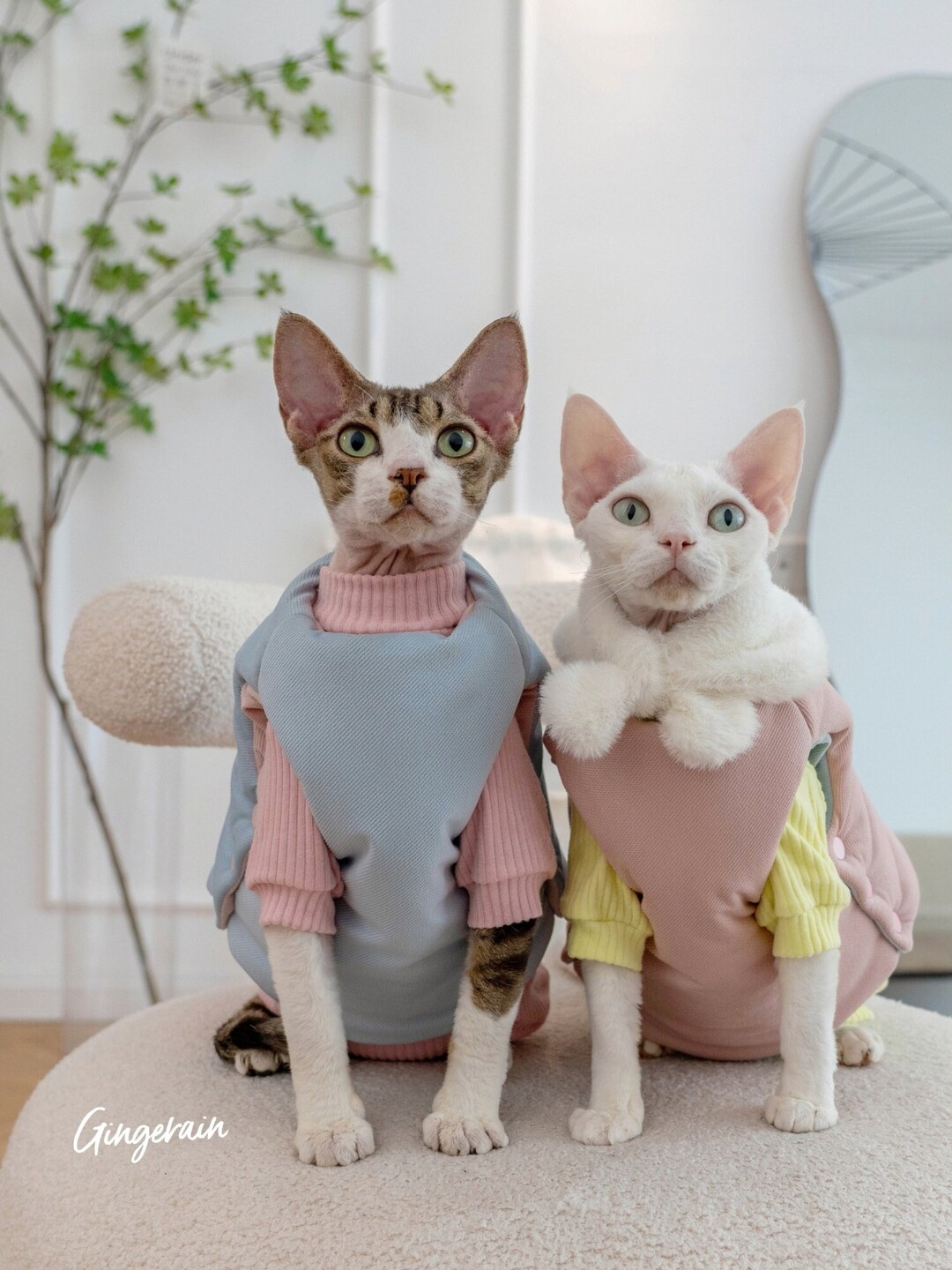 Hairless Cat Clothes Cat Extra Thick Cotton Vest Siamese/leopard Cat