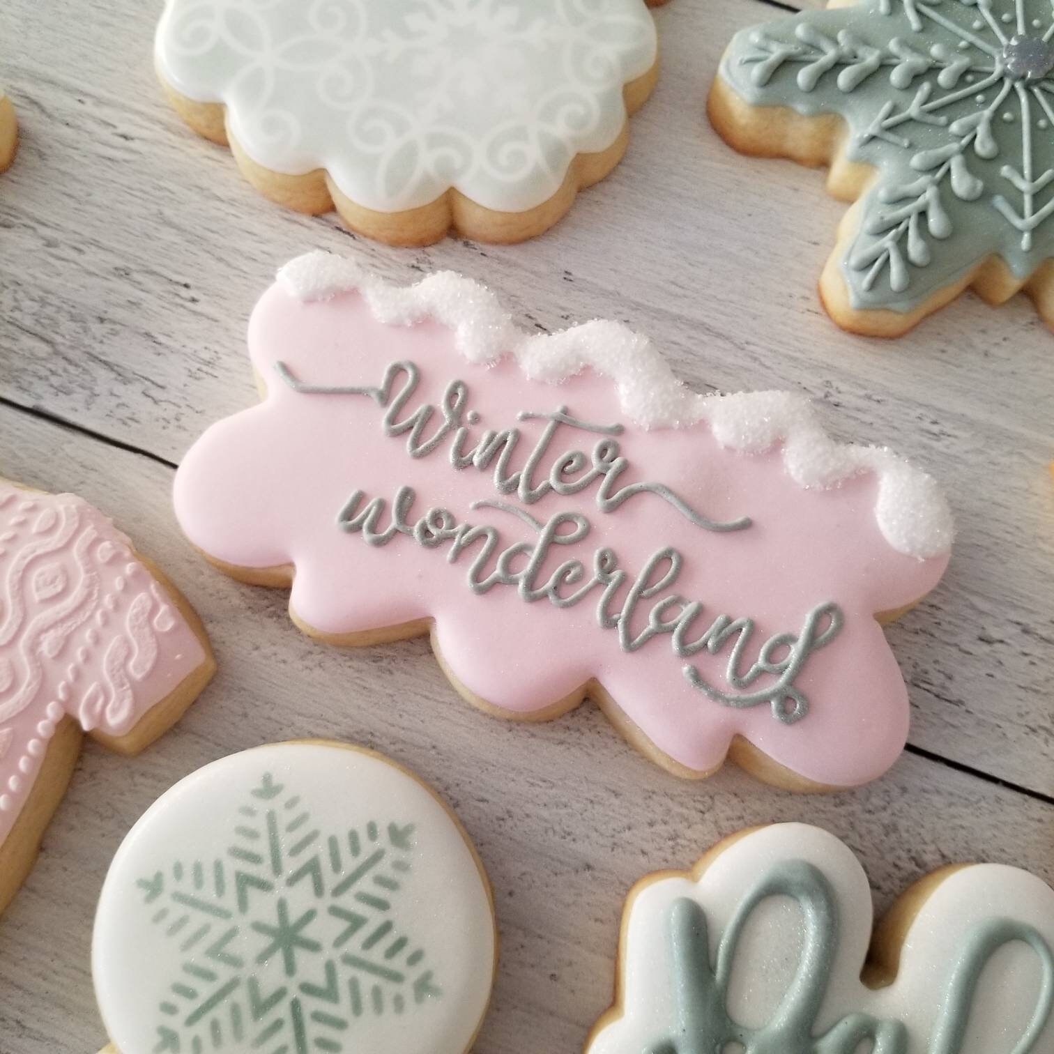 Winter Wonderland Baby Shower Cookies 2 Dozen Little Etsy UK