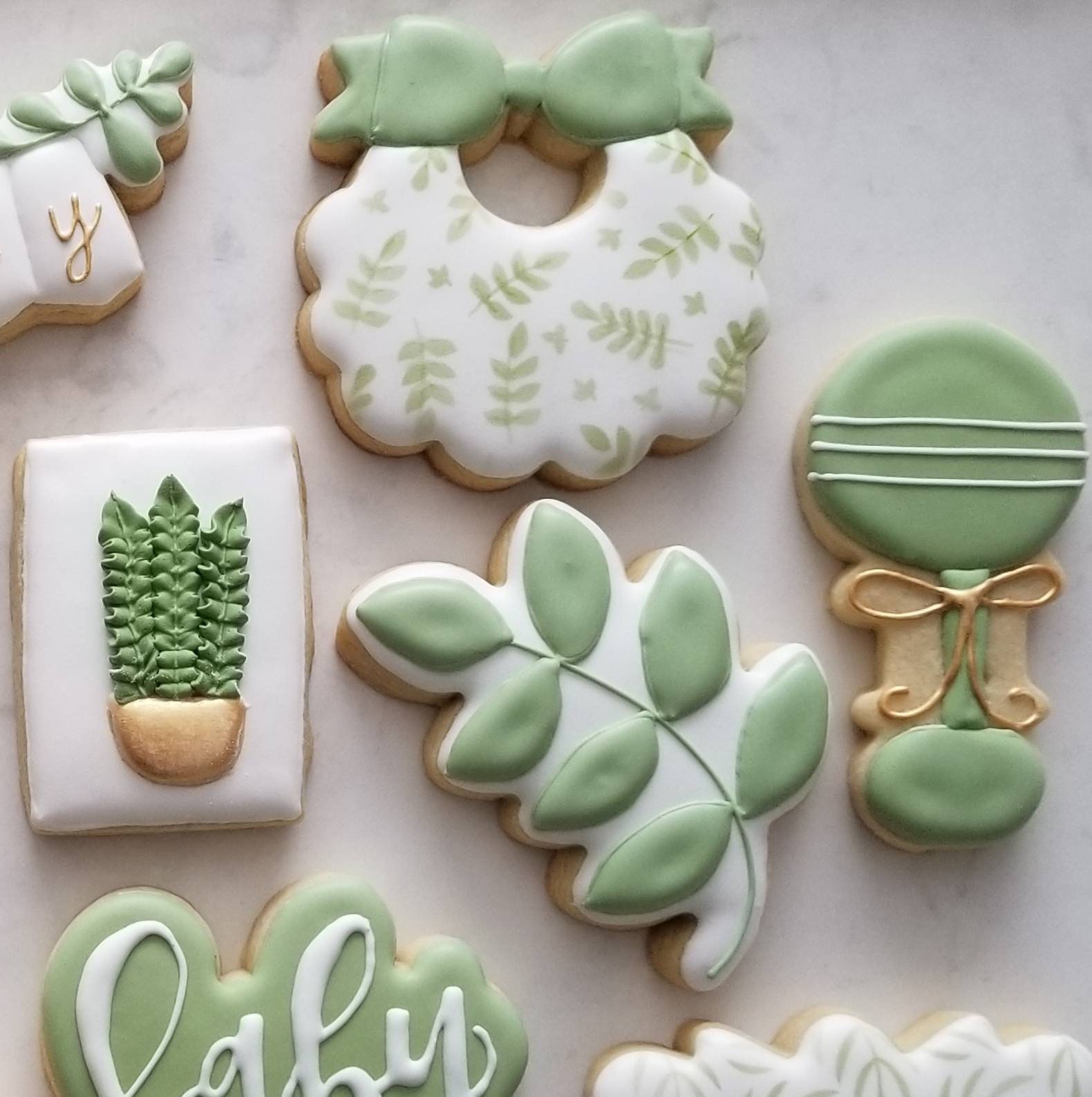 Botanical Baby Shower Cookies 2 Dozen Oh Baby Succulent Etsy