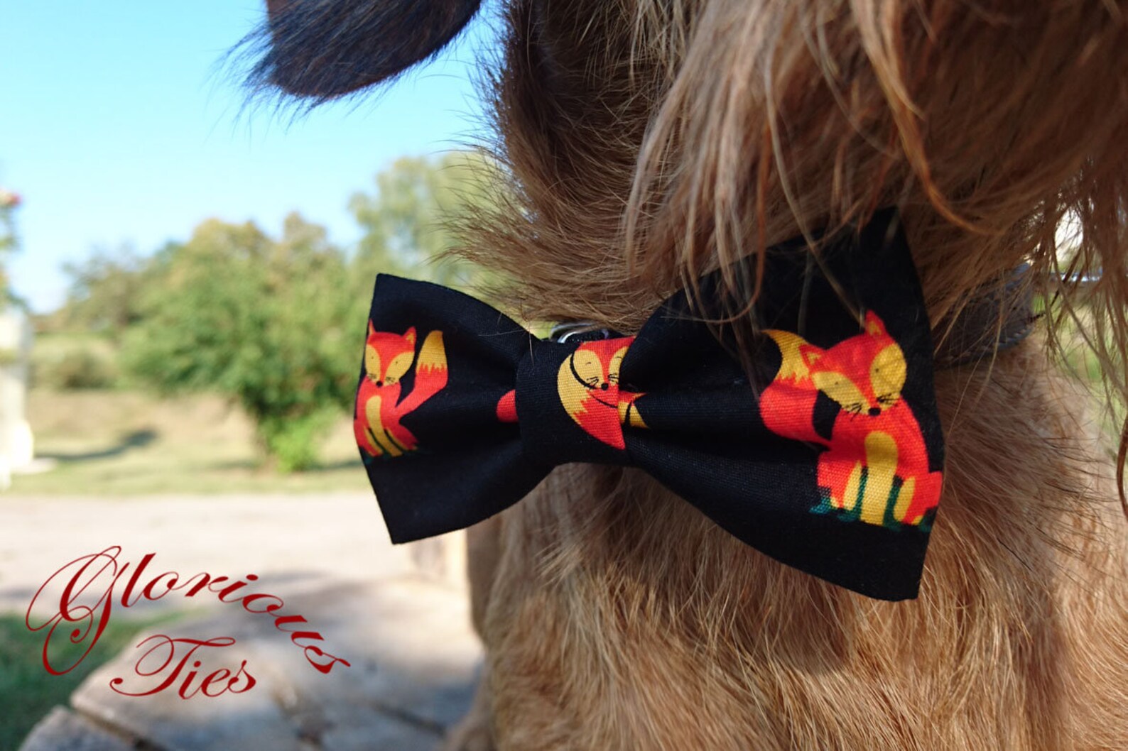 Matching Fox Bow Tie for Men Boys and Pets. Black Bow Tie Etsy