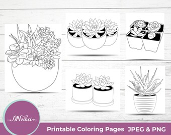 May include: Four black and white line drawings of succulents in pots. The drawings are on a white background. The succulents are in different shapes and sizes. The drawings are simple and easy to color.