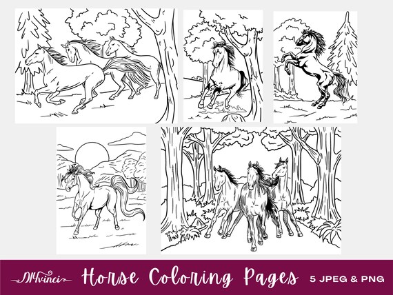 5 wild horse printable coloring pages jpeg png personal etsy