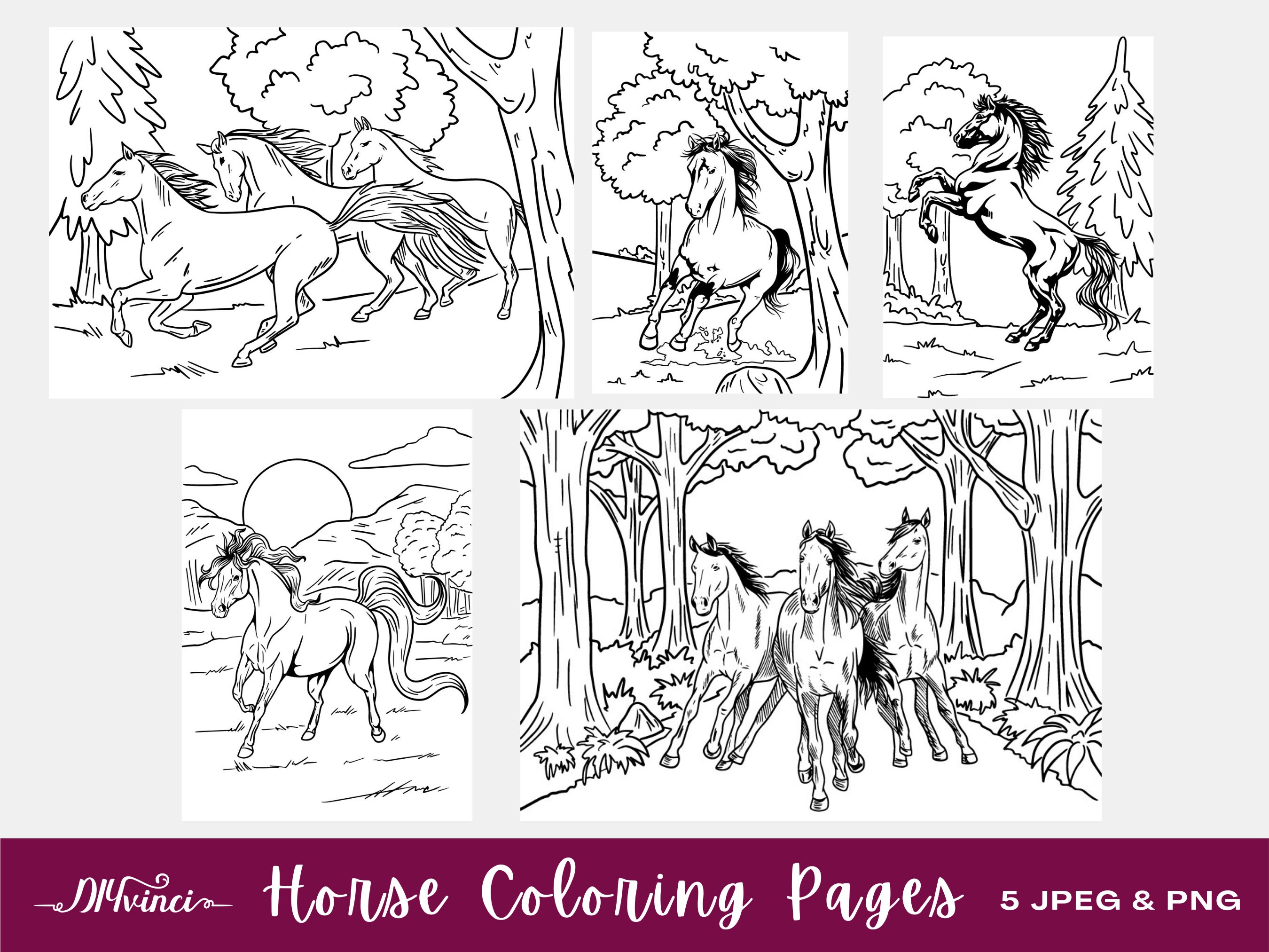 5 wild horse printable coloring pages jpeg png personal etsy