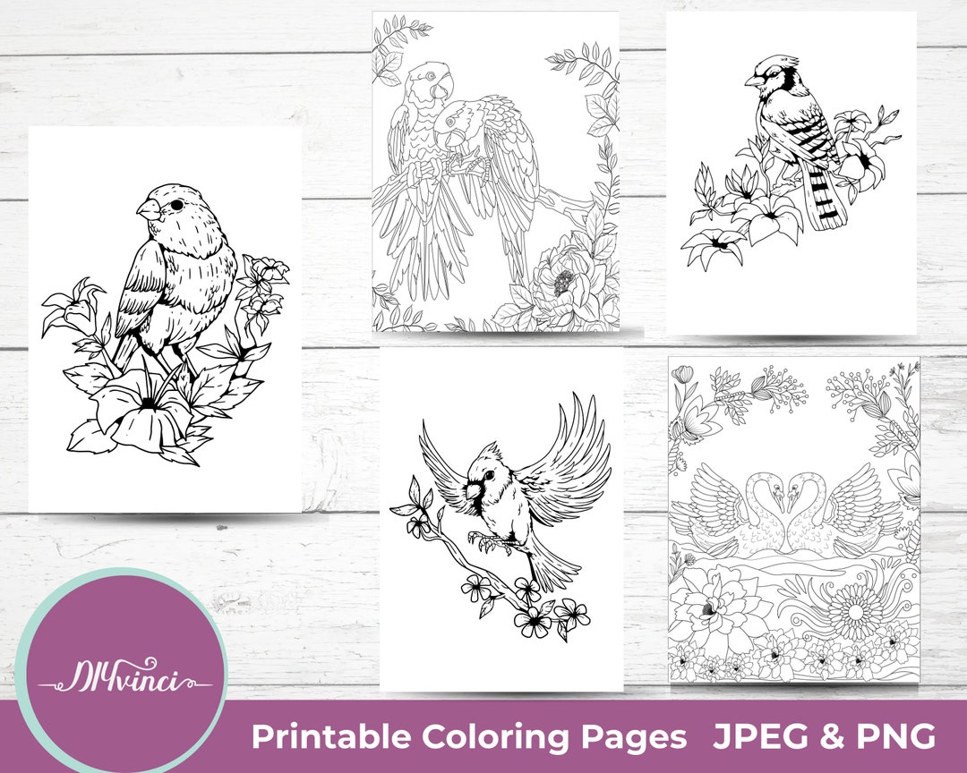 Bird Printable Coloring Pages - 5 JPEG & PNG - Personal and Commercial