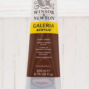 Winsor & Newton Galeria Acrylic 200 ml tube Burnt Umber