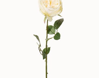 Long Stem English Rose- Soft Yellow 26 inch