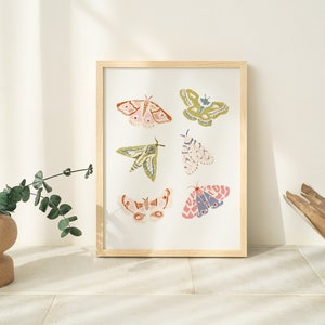 Puede incluir: Una impresi&oacute;n enmarcada con seis ilustraciones coloridas de polillas con detalles intrincados. Las polillas se representan en varias poses y colores, incluyendo rosa, verde, azul y amarillo.