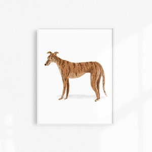 Greyhound Art Print, Greyhound Dog Portrait, Greyhound Artwork, Dog Home Decor, Dog Lover Gift, Greyhound Wall Art, Greyhound Portrait