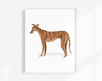 Greyhound Art Print, Greyhound Dog Portrait, Greyhound Artwork, Dog Home Decor, Dog Lover Gift, Greyhound Wall Art, Greyhound Portrait