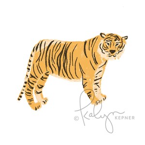 May include: A hand-drawn illustration of a tiger with orange and black stripes standing on a white background. The tiger is facing the right side of the image. The artist's signature is in the bottom right corner.