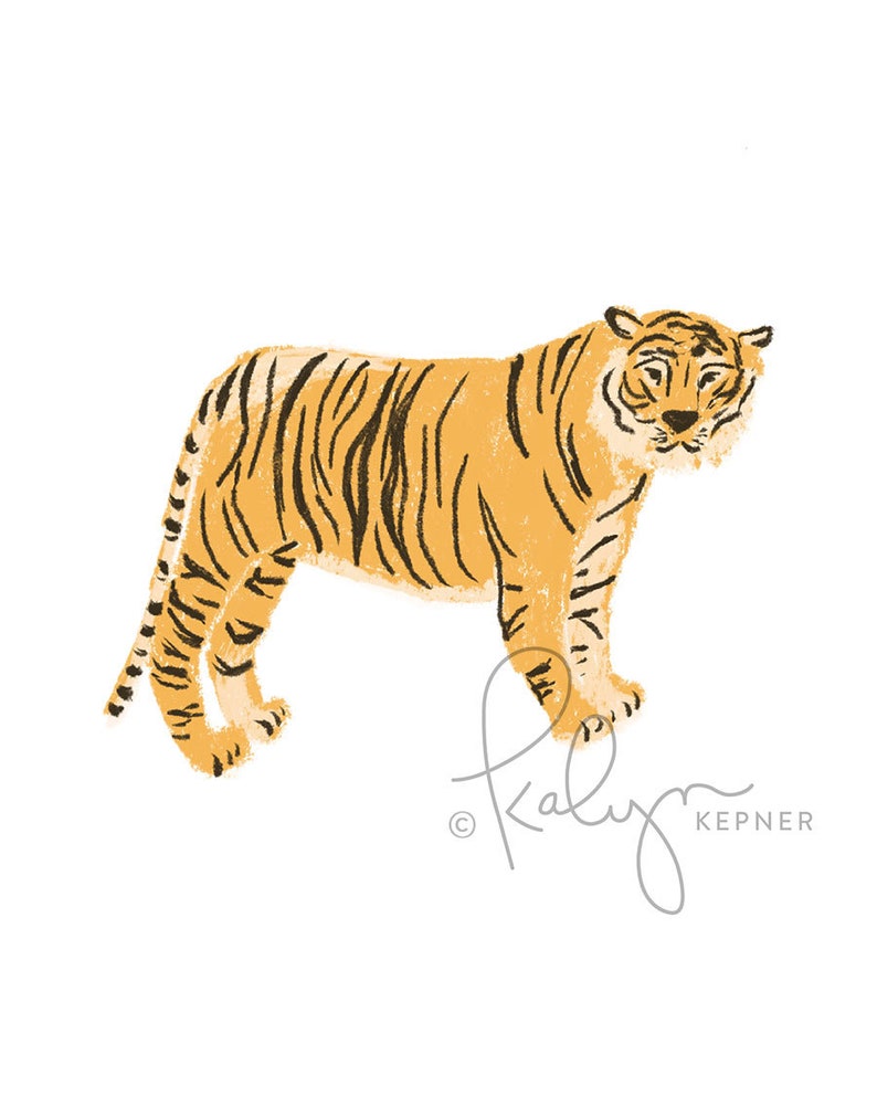 May include: A hand-drawn illustration of a tiger with orange and black stripes standing on a white background. The tiger is facing the right side of the image. The artist's signature is in the bottom right corner.