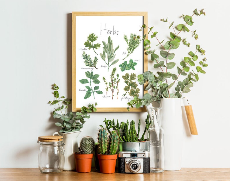 Kitchen Decor Kitchen Art Herbs Art Print Herb Print Food Etsy