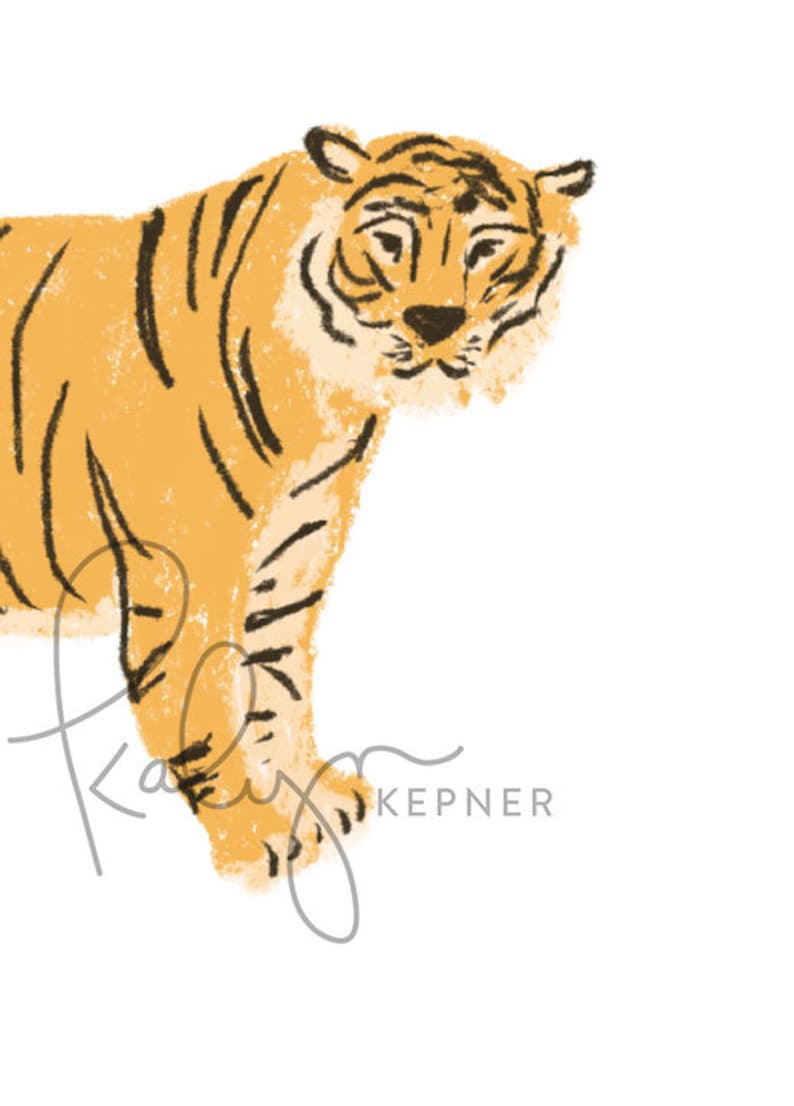 May include: A hand-drawn illustration of a tiger with orange and black stripes. The tiger is facing to the right and is walking. The illustration is done in a simple style with a textured look.