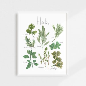 Kitchen Art, Herbs Art Print, Herb Print, Kitchen Decor, Food Artwork, Dining Decor, Herb Art, Kitchen Print, Cooking Print, Dining Room Art