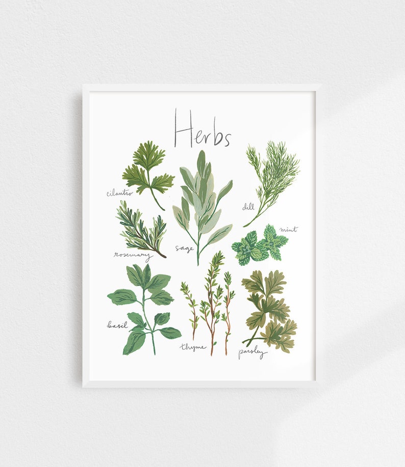 Kitchen Art Herbs Art Print Herb Print Kitchen Decor Food Etsy