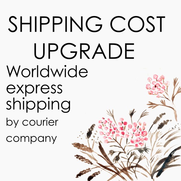 Worldwide expedited shipping, Shipping Cost Upgrade