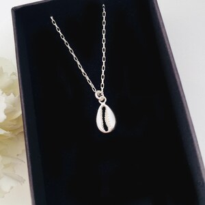 Op de afbeelding: Een zilverkleurige ketting met een kleine, schelpvormige hanger. De hanger heeft een gedetailleerd oppervlak en hangt aan een fijne ketting. De ketting wordt gepresenteerd in een zwarte doos.