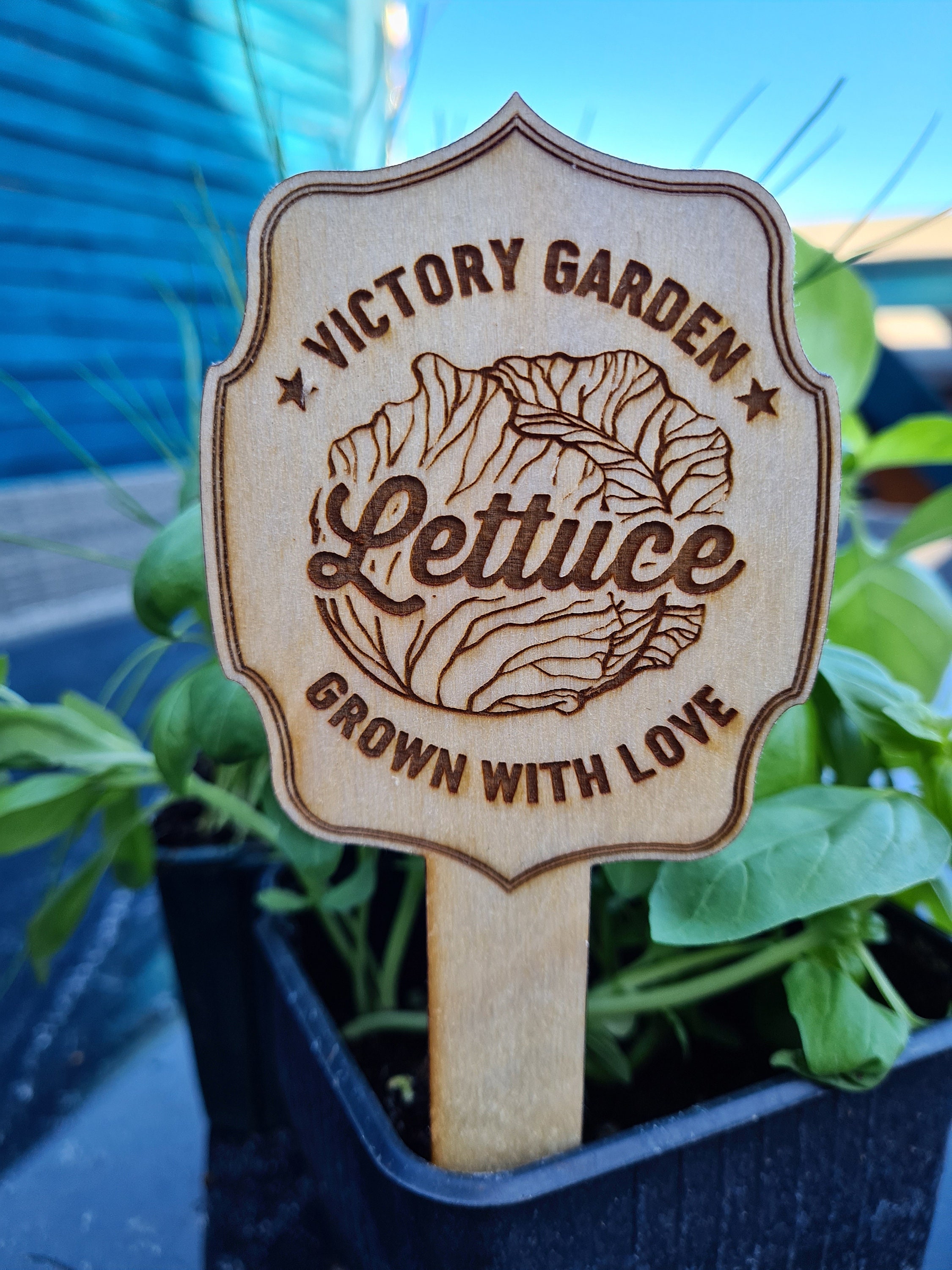 Vegetable Garden Signs Wooden markers for seed and vegetable Etsy