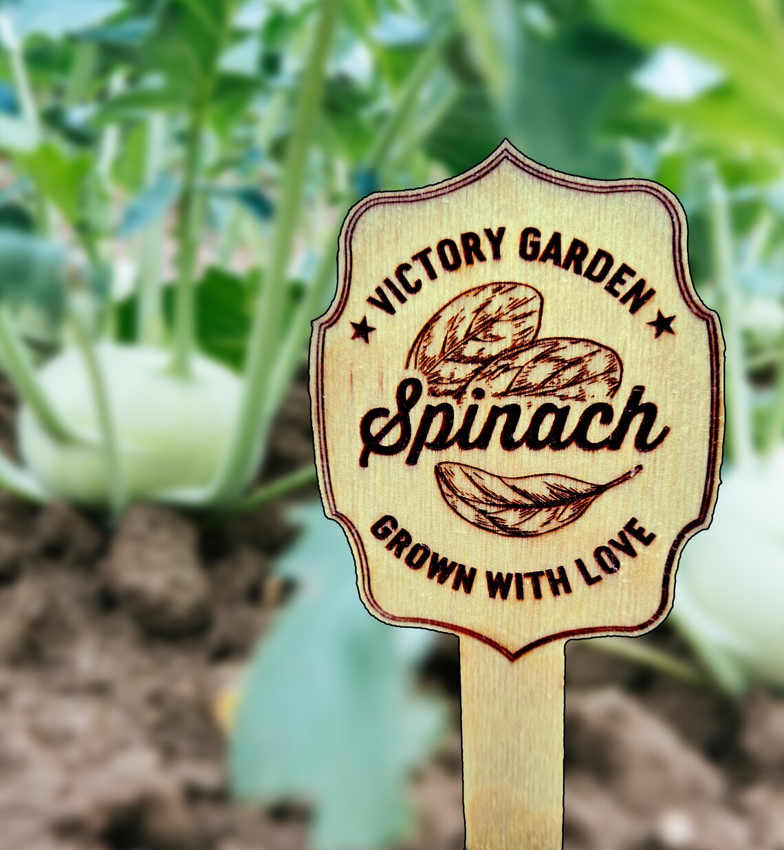 Vegetable Garden Signs Wooden markers for seed and vegetable Etsy