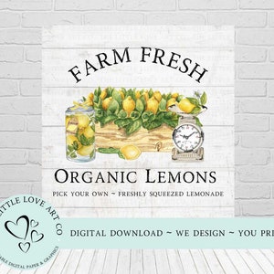 Conception de ferme de citrons bio frais, citrons Png, enseigne de limonade, décoration de ferme, décoration printanière, papier numérique imprimable, téléchargement numérique