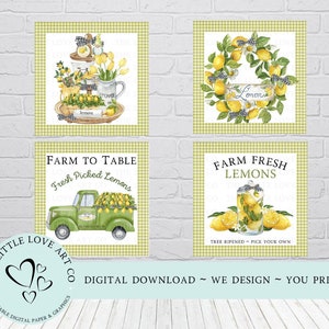 Mini insegne a ripiani con limoni, decorazioni per camioncini con limoni, mini insegne estive, insegne con limonata, gnomo al limone, carta digitale, download digitale