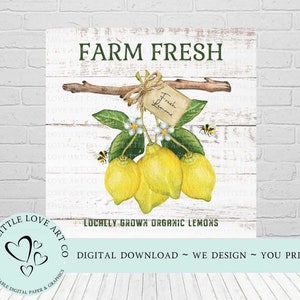 Farm Fresh Lemons Bunch Design, Dekoracja domu w stylu wiejskim, Wiosenna dekoracja domu, Papier cyfrowy do druku z motywem cytryn, Sublimacja cytryn, POBIERANIE CYFROWE