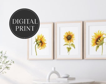 Set of 3 prints - sunflower trio - watercolor floral digital download