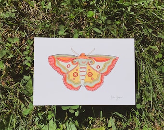 Colorful Moth Art | Digital Art Print, Printable Art, Art Print, Cottage Core, Moth Art, Vintage Style Art, Digital Wall Art