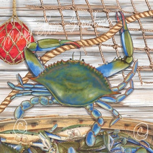 May include: A blue crab with green and blue markings is perched on a rope and wooden surface. A red buoy and a fishing net are in the background. A basket filled with blue crabs is in the foreground.