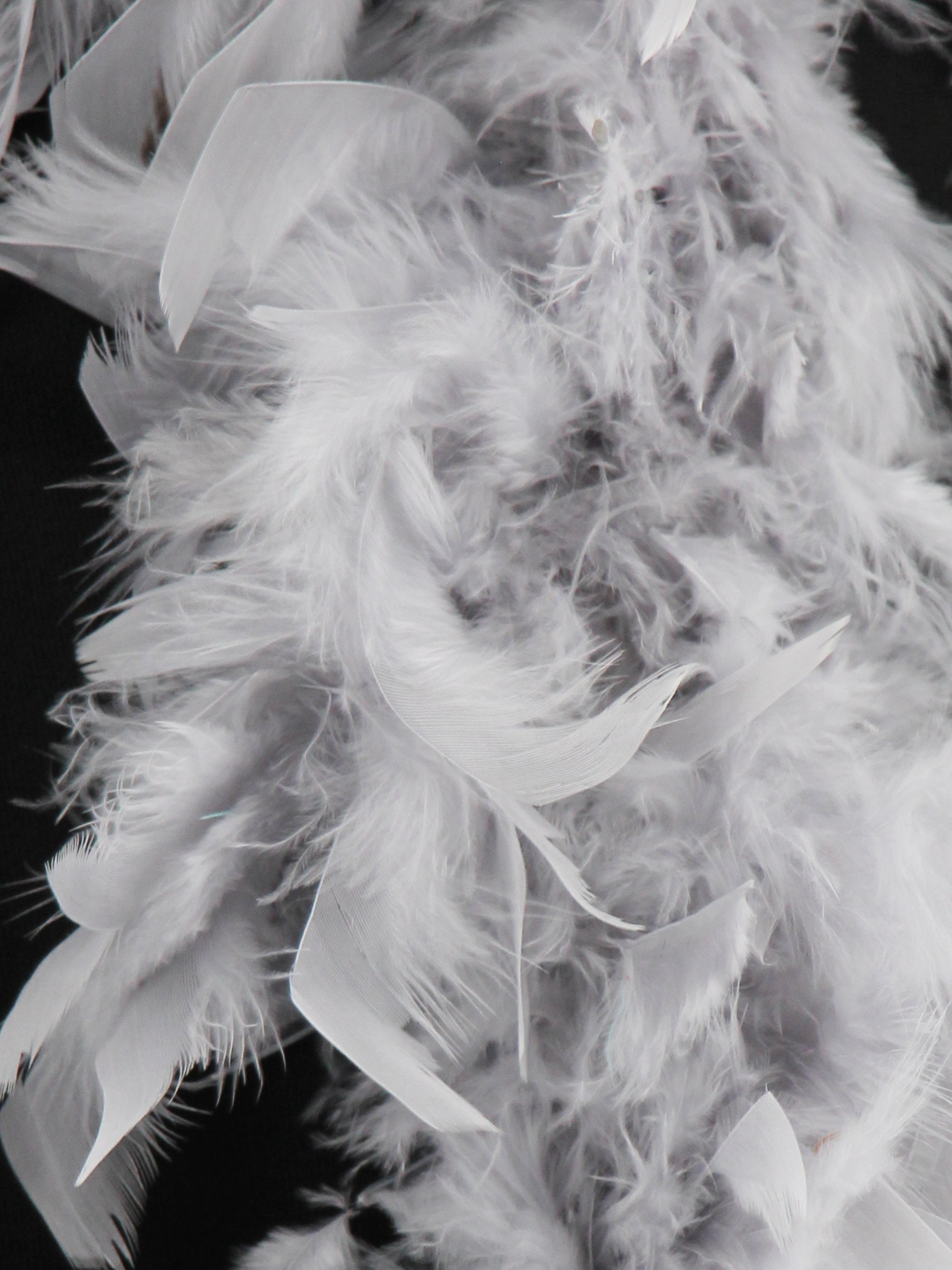 Deluxe Coloured Feather Boa 100g 180cm Etsy UK