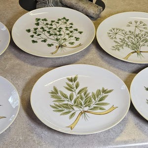 Sigma Taste Setter - Etsy