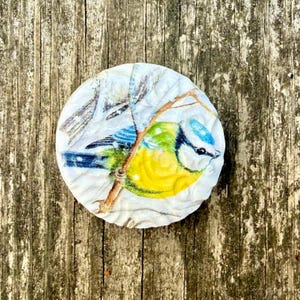 May include: A round, white coaster with a bluebird perched on a branch. The bird has a yellow breast and blue wings. The background is a white and gray pattern.