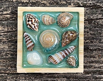 shell magnet, nautical magnet, shell decor, refrigerator magnets beach house decor, shell gift
