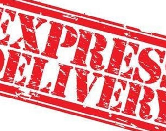 15 usd Express shipping with tracking number
