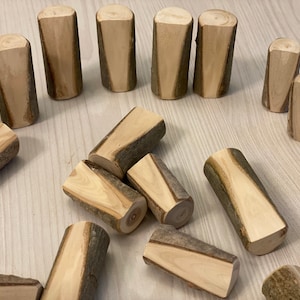 Set of 10 sticks,Decorative Stick,Keychain sticks,Wood logs,Camping decor,wooden rustic decor,wood slices,Wooden cubes,Keychain holder,Stick