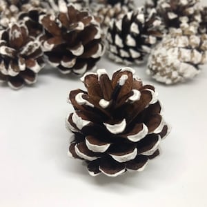 White Pine cone,Pine Cone Decor,Set of 10 Pine cones,Pine cone,Wooden Pine cone,Forest bounty,Floristry details,Table decor,Christmas Decor