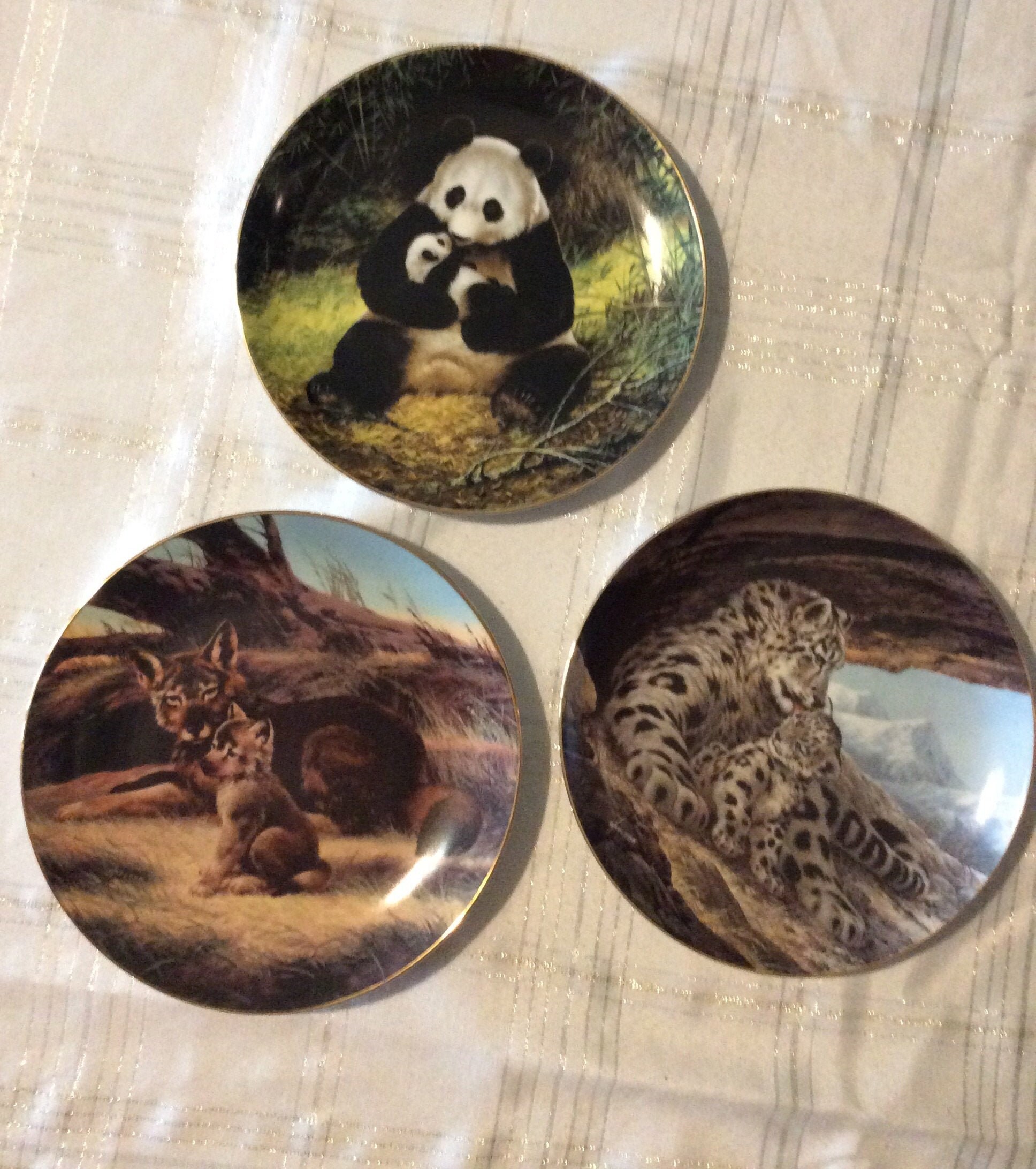 Last of Their Kind the Endangered Species Collectable - Etsy Last of Their Kind the Endangered Species Collectable - Etsy