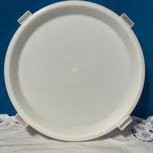 May include: White plastic round lid with four tabs for a container.