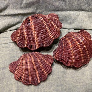 May include: Three woven seashell-shaped baskets in varying sizes. The baskets are made of reddish-brown and tan-colored woven material. The baskets are arranged on a gray fabric surface.