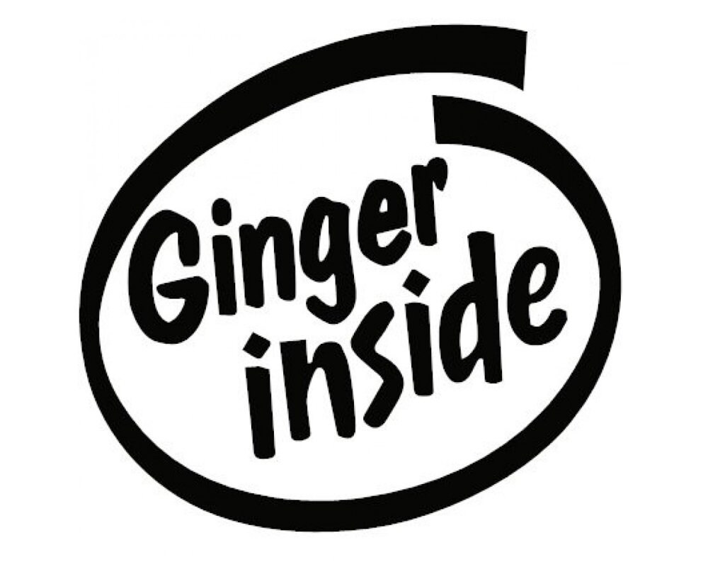 Ginger Inside Decal Funny Sticker Awesome Gift Hair Etsy