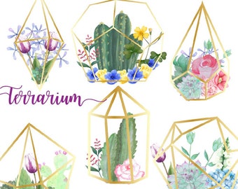 Cactus terrarium, succulent terrariums, watercolor cactuses, watercolour png, floral clipart, hand drawn clip art, pink roses flowers, succu