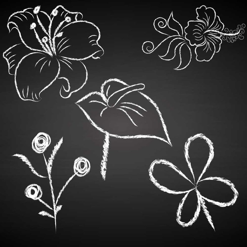 Chalk Effect Floral Clipart Set Flowers Drawn With Chalk Clip Etsy