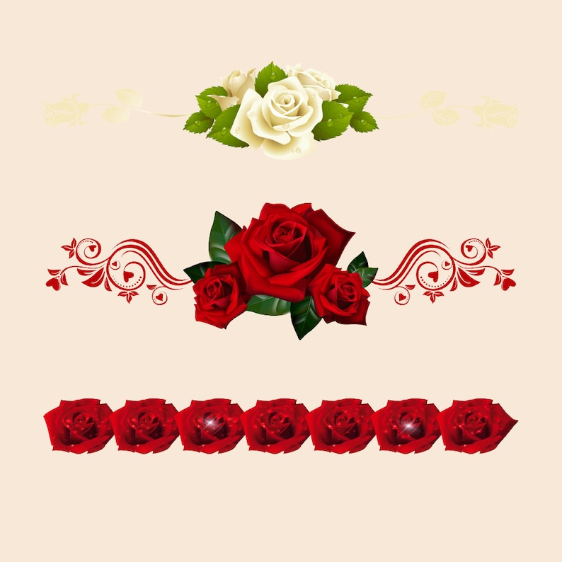 Red Roses Divider Rose Borders, Flower Clipart, Border Clip Art, Floral Art, Printable ...