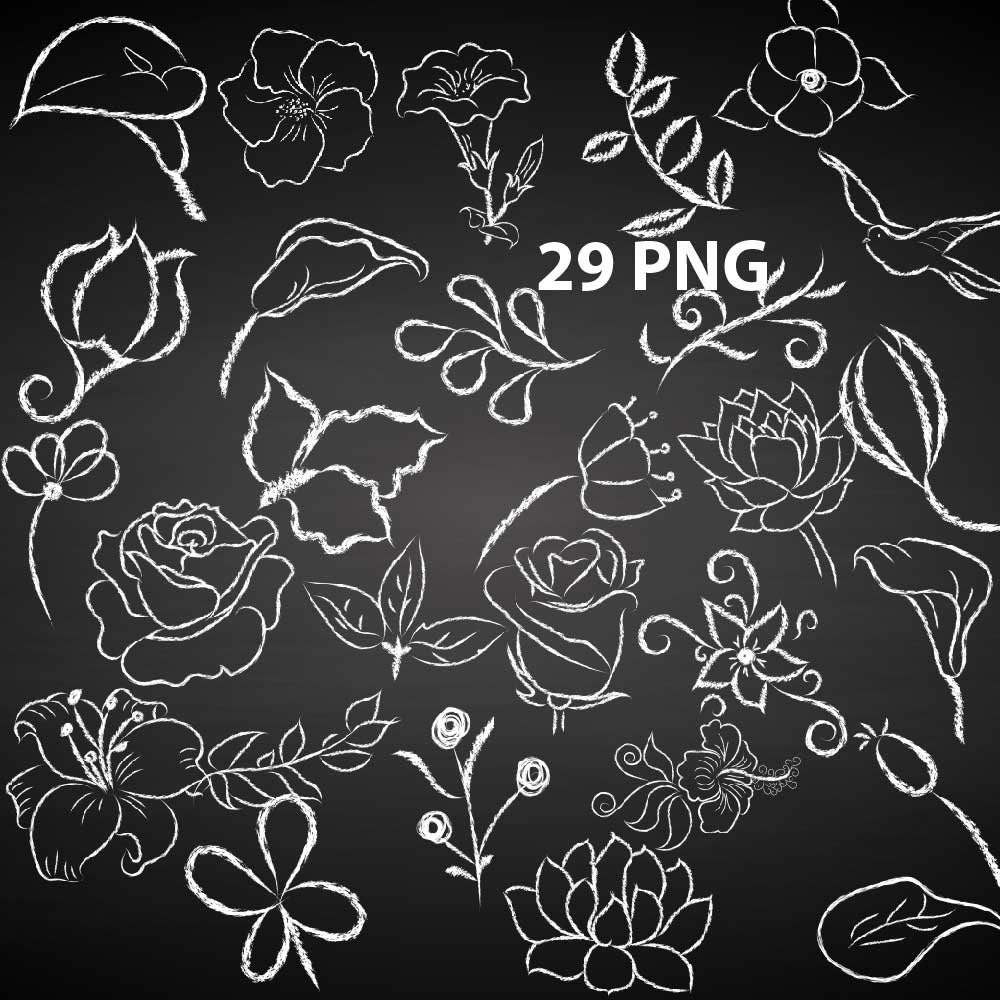 Chalk effect floral clipart set flowers drawn with chalk clip Etsy
