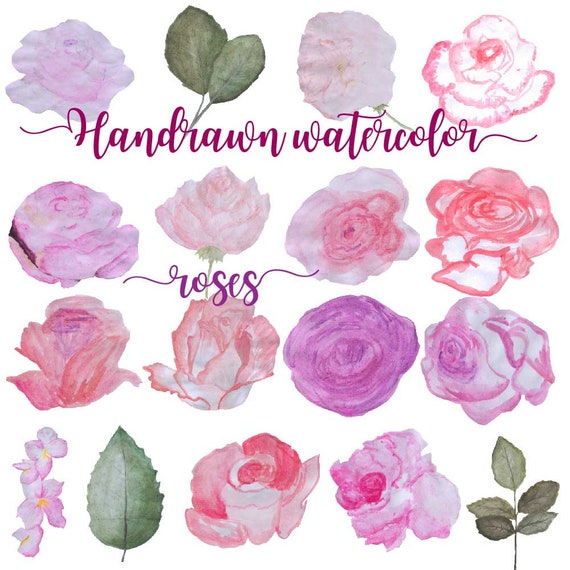 Hand drawn watercolor roses clipart set, watercolour floral clip art in png format made by fantasy cliparts, pink flowers illustration size Il_570xn