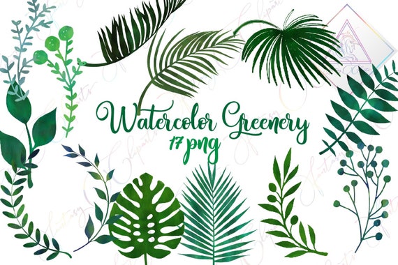 Download Watercolor Greenery Leaves Clipart Tropical Summer Palm Monstera Leaf Spring Clip Art Watercolour Green Hand Drawn Graphics Digital P By Fantasy Cliparts Catch My Party