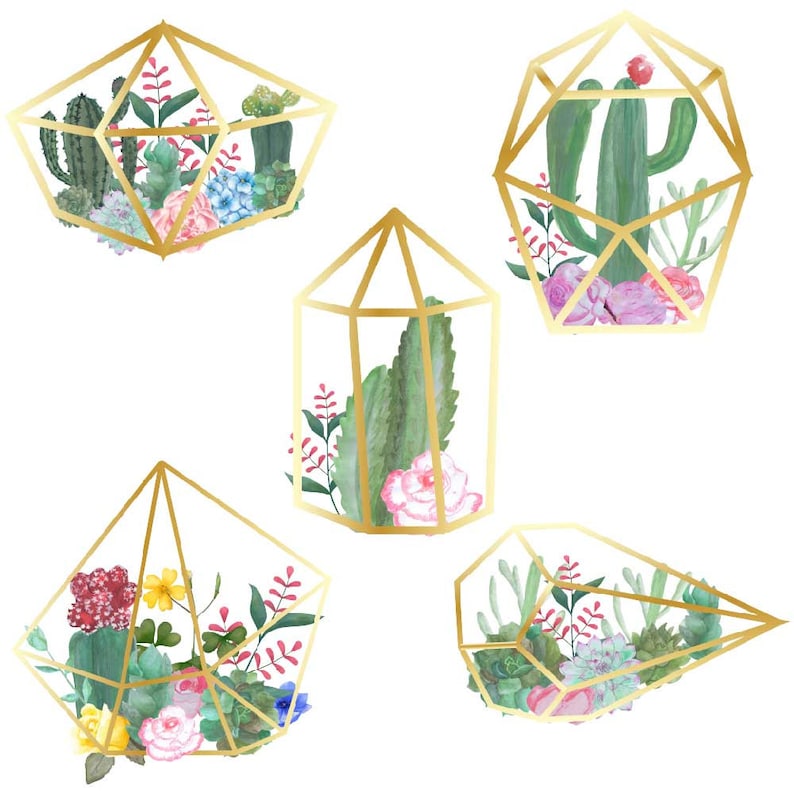 pink roses flowers succulent terrariums succu Cactus terrarium floral clipart hand drawn clip art watercolor cactuses watercolour png