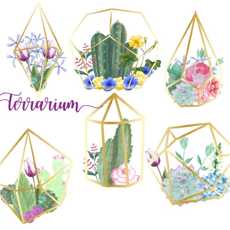 pink roses flowers succulent terrariums succu Cactus terrarium floral clipart hand drawn clip art watercolor cactuses watercolour png